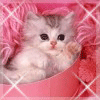 Avatar-animado-Animal-983.gif