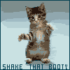 Avatar-animado-Animal-986.gif