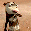 Avatar-animado-Animal-989.gif