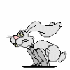 Avatar-animado-Animal-990.gif