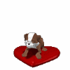 Avatar-animado-Animal-991.gif