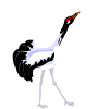 Avatar-animado-Ave-100.gif