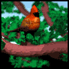 Avatar-animado-Ave-111.gif