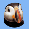 Avatar-animado-Ave-115.gif