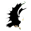 Avatar-animado-Ave-12.gif