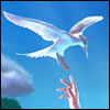 Avatar-animado-Ave-120.gif