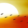 Avatar-animado-Ave-125.gif