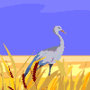 Avatar-animado-Ave-127.gif