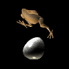 Avatar-animado-Ave-134.gif