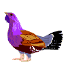 Avatar-animado-Ave-145.gif