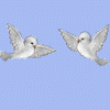 Avatar-animado-Ave-15.gif