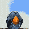 Avatar-animado-Ave-155.gif