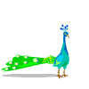 Avatar-animado-Ave-156.gif
