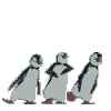 Avatar-animado-Ave-166.gif