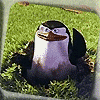 Avatar-animado-Ave-196.gif