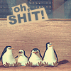 Avatar-animado-Ave-206.gif