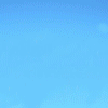 Avatar-animado-Ave-213.gif