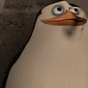 Avatar-animado-Ave-214.gif