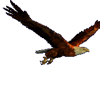 Avatar-animado-Ave-217.gif