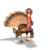 Avatar-animado-Ave-222.gif