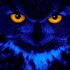 Avatar-animado-Ave-29.gif