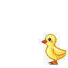 Avatar-animado-Ave-33.gif