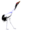 Avatar-animado-Ave-34.gif