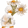 Avatar-animado-Ave-35.gif