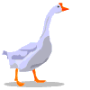 Avatar-animado-Ave-38.gif