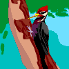 Avatar-animado-Ave-39.gif