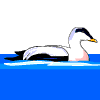 Avatar-animado-Ave-45.gif