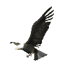 Avatar-animado-Ave-51.gif