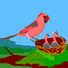 Avatar-animado-Ave-54.gif