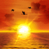 Avatar-animado-Ave-57.gif