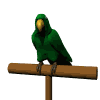 Avatar-animado-Ave-61.gif
