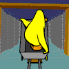 Avatar-animado-Ave-68.gif