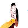 Avatar-animado-Ave-73.gif