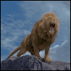 Avatar-animado-Ave-76.gif
