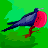 Avatar-animado-Ave-84.gif