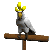Avatar-animado-Ave-86.gif