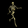 Avatar-animado-Esqueleto-117.gif