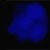 Avatar-animado-Esqueleto-56.gif