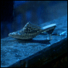 Avatar-animado-Calzado-148.gif