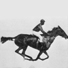 Avatar-animado-Deporte-87.gif