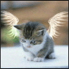 Avatar-animado-Fantasia-22.gif