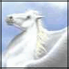 Avatar-animado-Fantasia-24.gif