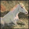 Avatar-animado-Fantasia-35.gif