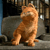 Avatar-animado-Garfield-31.gif