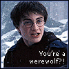 Avatar-animado-Harry-Potter-74.gif