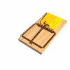 Avatar-animado-Hogar-39.gif